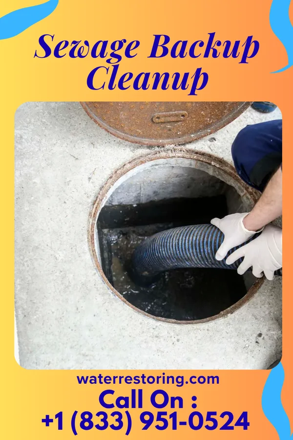 Sewage Backup Cleanup in Jud, ND